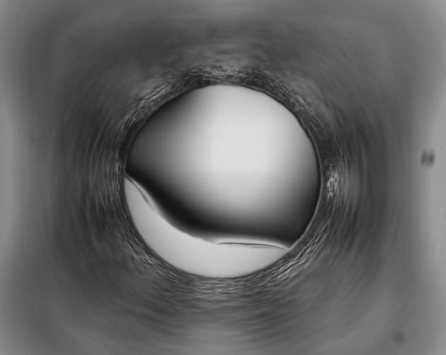 X0000098121156200804181512
