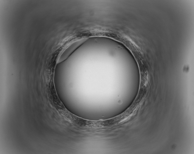 X0000098121157200804181512
