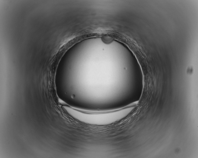 X0000098121158200804181512