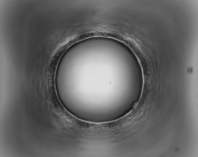 X0000098121159200804181512