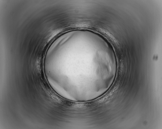 X0000098121162200804181512