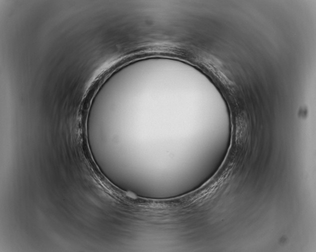 X0000098121164200804181512