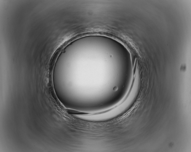 X0000098121165200804181512
