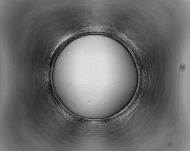 X0000098121166200804181512