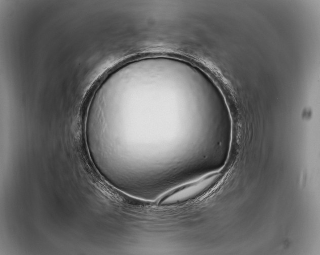 X0000098121167200804181512