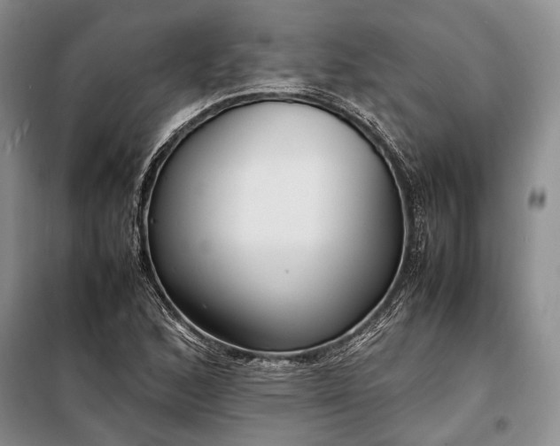 X0000098121168200804181512