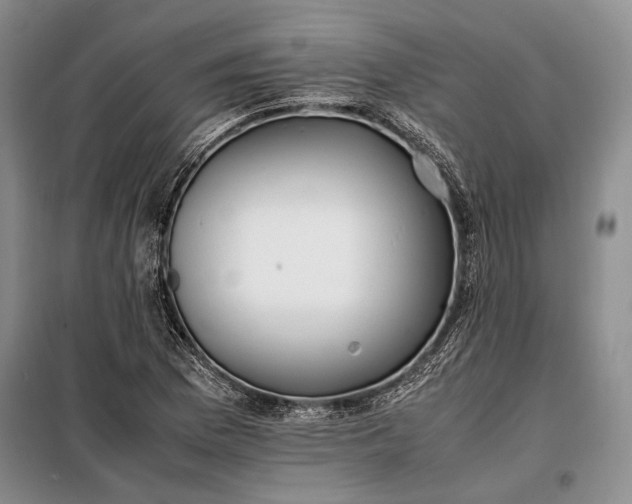 X0000098121169200804181512