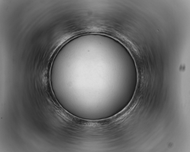 X0000098121170200804181512