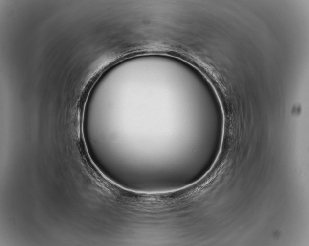 X0000098121171200804181512