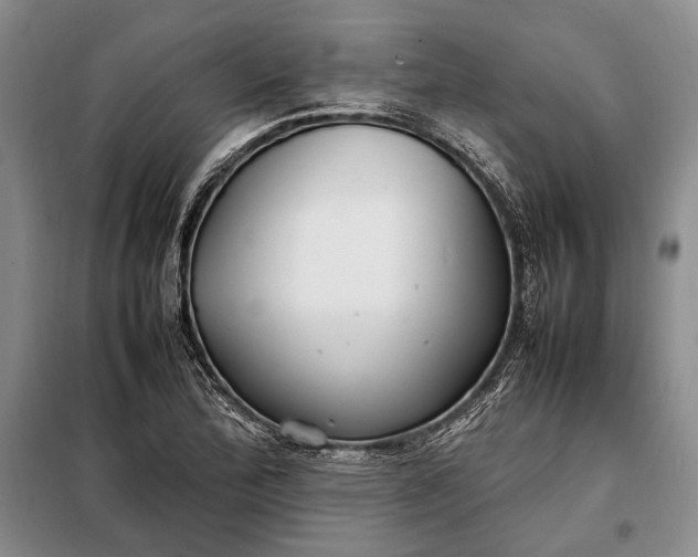 X0000098121172200804181512