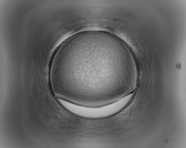 X0000098121173200804181512