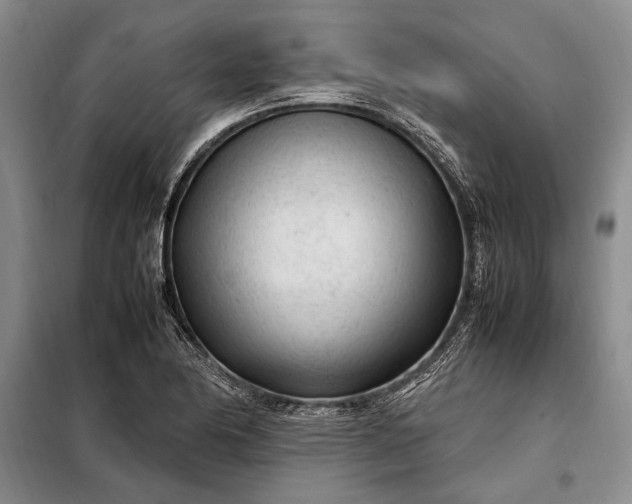 X0000098121174200804181512