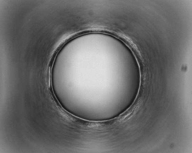 X0000098121175200804181512