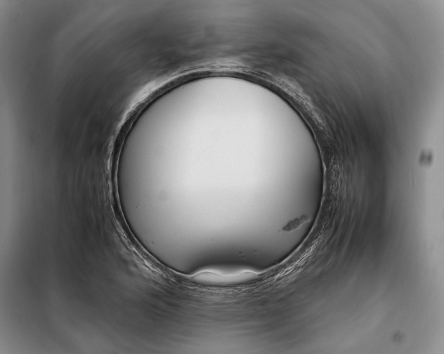 X0000098121176200804181512