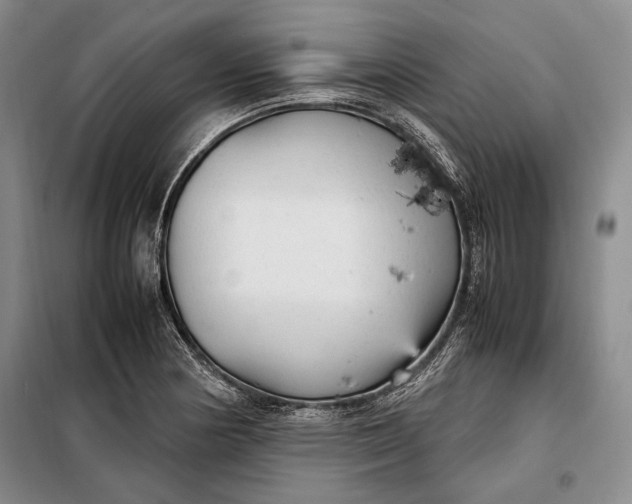 X0000098121178200804181512