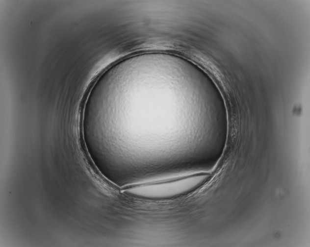 X0000098121179200804181512