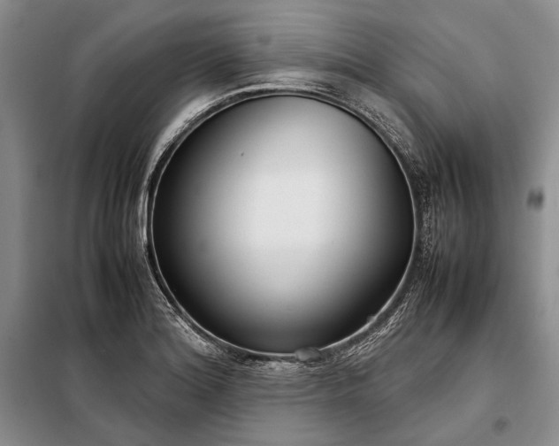 X0000098121180200804181512