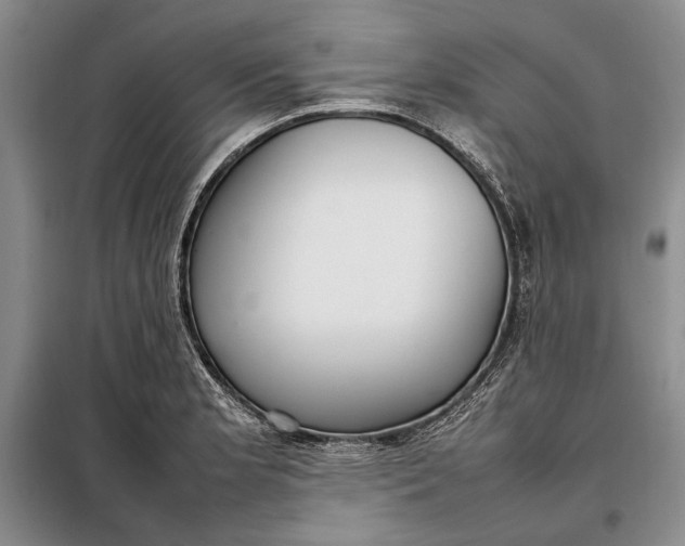 X0000098121181200804181512