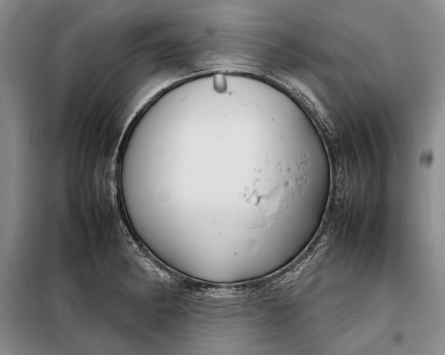 X0000098121182200804181512