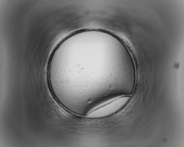X0000098121183200804181512