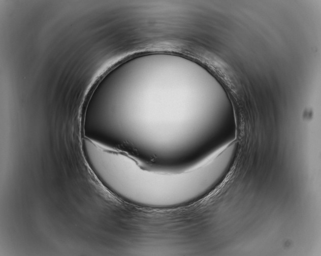 X0000098121184200804181512