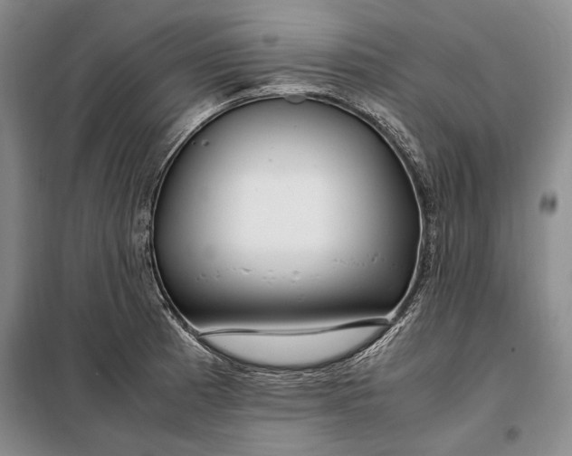 X0000098121185200804181512
