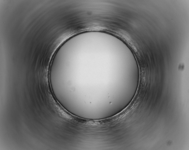 X0000098121186200804181512