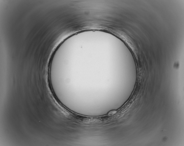 X0000098121187200804181512