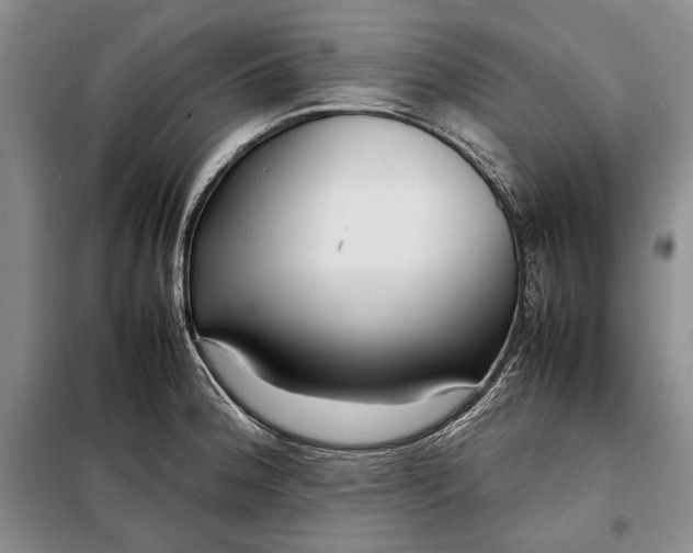 X0000098121188200804181512
