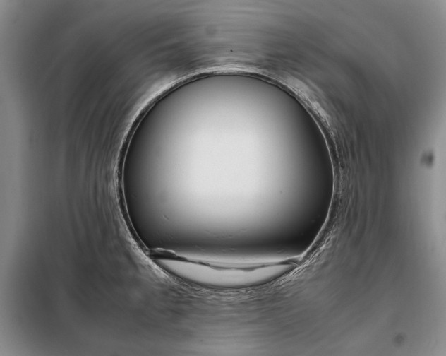 X0000098121189200804181512