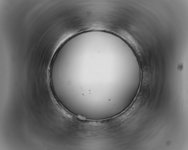 X0000098121190200804181512