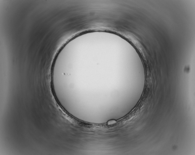 X0000098121191200804181512