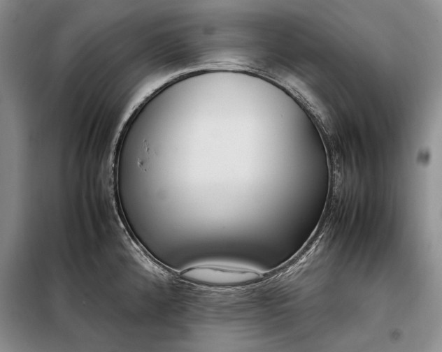 X0000098121192200804181512