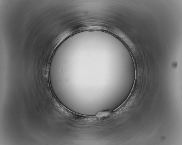 X0000098121193200804181512