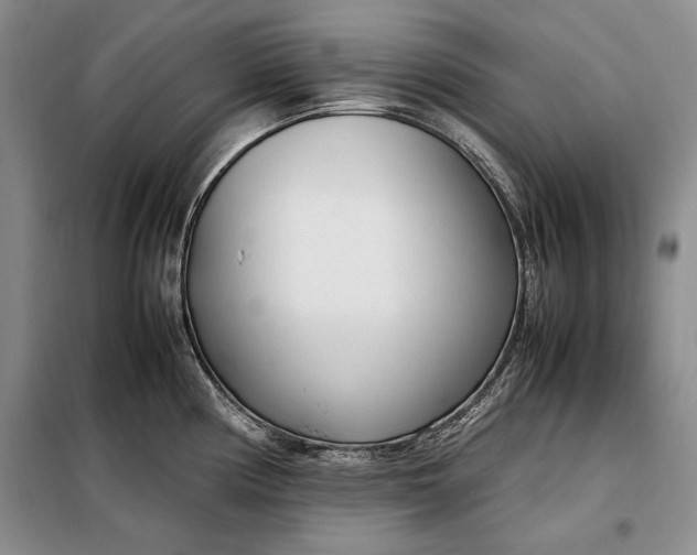 X0000098121194200804181512