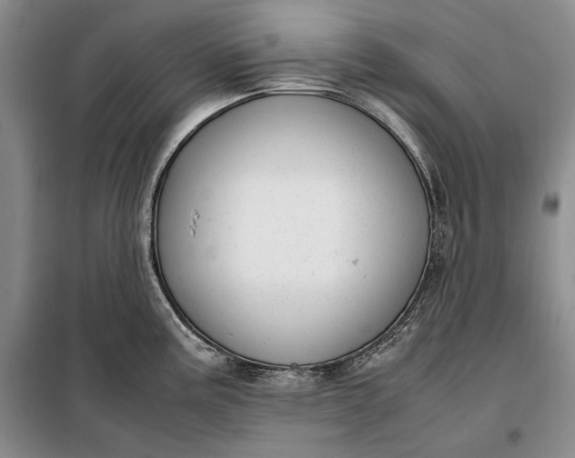 X0000098121195200804181512