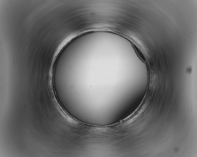 X0000098121196200804181512