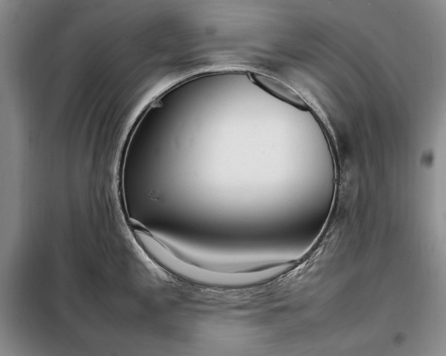 X0000098121197200804181511