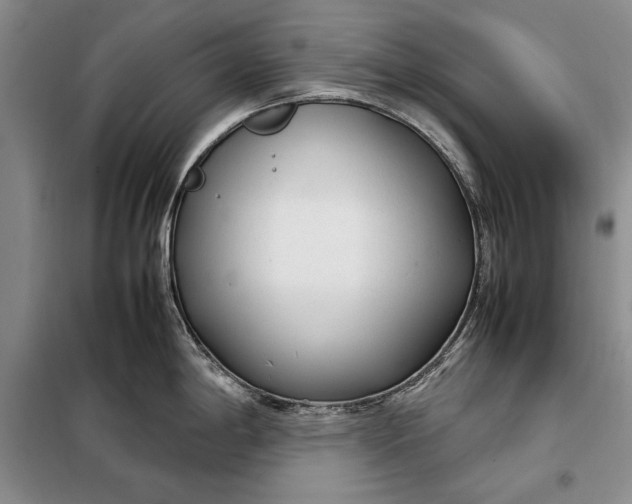 X0000098121198200804181511