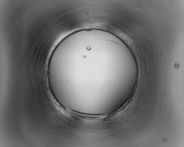 X0000098121200200804181511