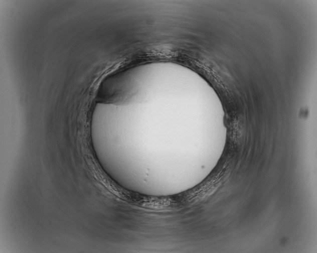 X0000098121201200804181510