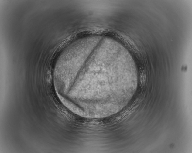 X0000098121204200804181511