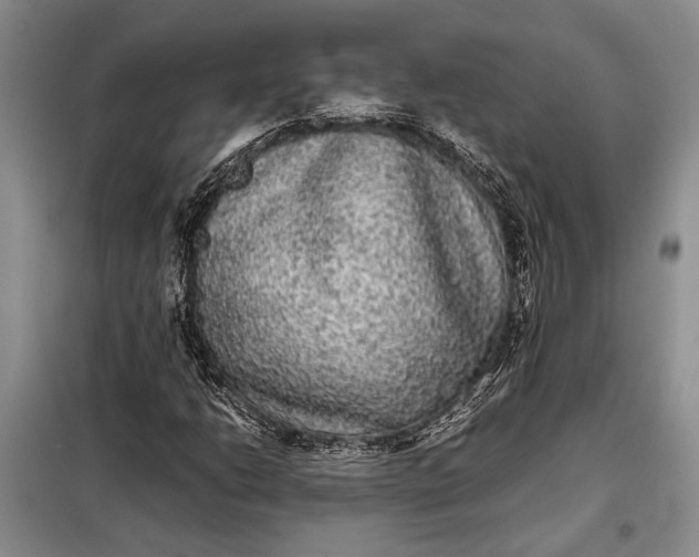 X0000098121206200804181511