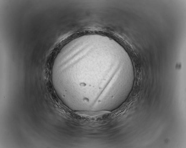 X0000098121207200804181511