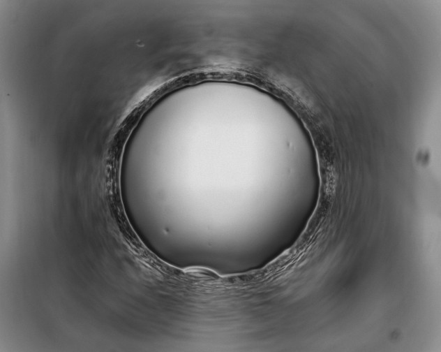 X0000098121208200804181511