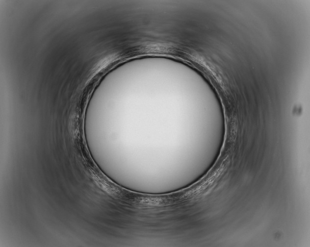 X0000098121211200804181511