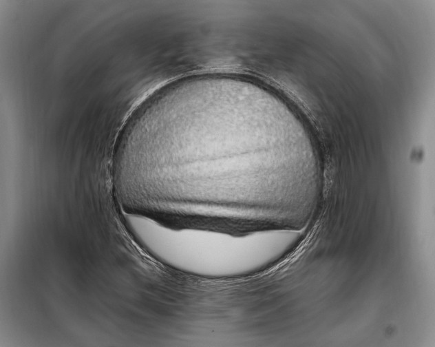 X0000098121212200804181511
