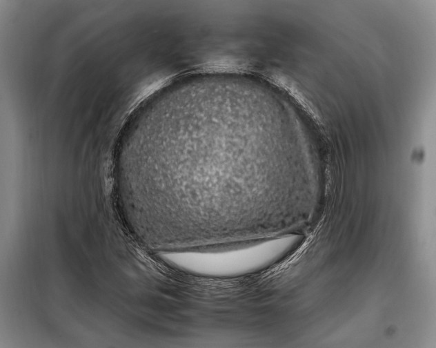X0000098121213200804181511