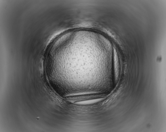 X0000098121214200804181511