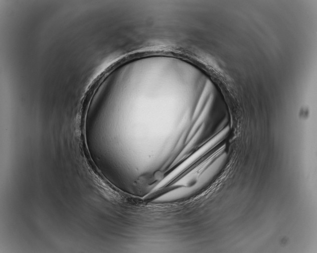 X0000098121216200804181511